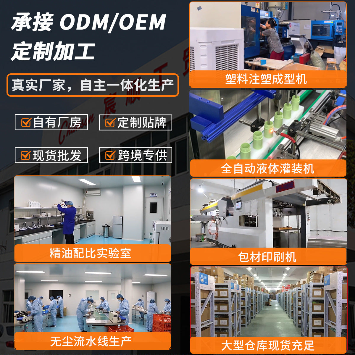 ペット用防虫カラー 🐶🐱 — ノミ・ダニ対策＆リフレッシュ効果付き