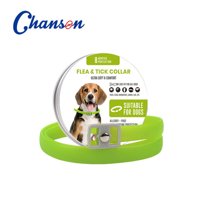 ペット用防虫カラー 🐶🐱 — ノミ・ダニ対策＆リフレッシュ効果付き