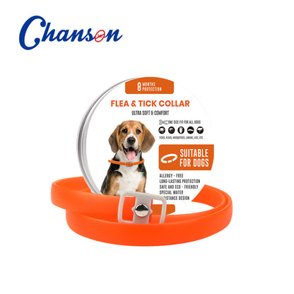 ペット用防虫カラー 🐶🐱 — ノミ・ダニ対策＆リフレッシュ効果付き