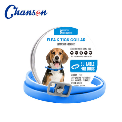 ペット用防虫カラー 🐶🐱 — ノミ・ダニ対策＆リフレッシュ効果付き